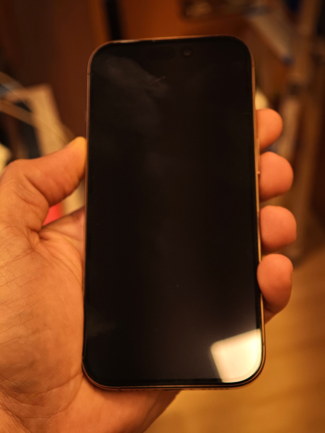 iPhone 16 Pro 256 GB